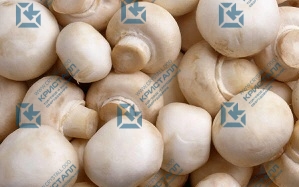 Способ сохранения полезных качеств у грибов!